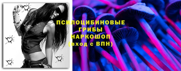 mdpv Коряжма