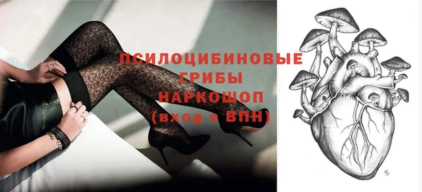 mdpv Коряжма